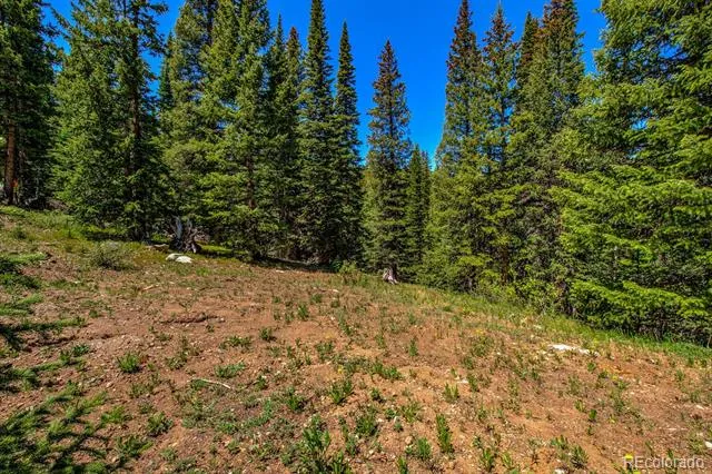 0307 CR 674 Breckenridge, CO 80424