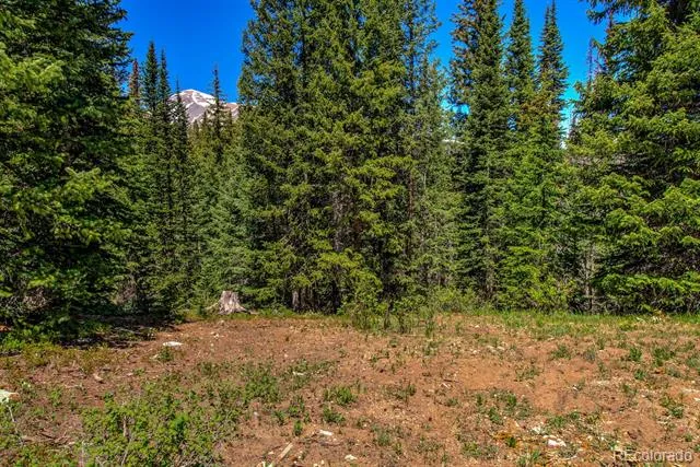 0307 CR 674 Breckenridge, CO 80424