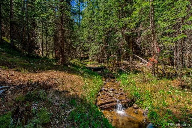 0307 CR 674 Breckenridge, CO 80424