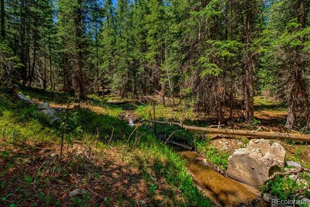 0307 CR 674 Breckenridge, CO 80424