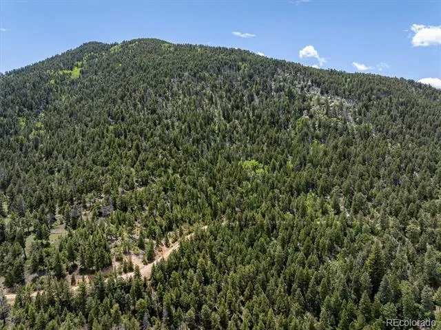 1259 Chute Road Golden, CO 80403