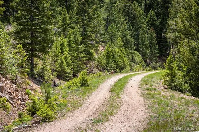 1259 Chute Road Golden, CO 80403