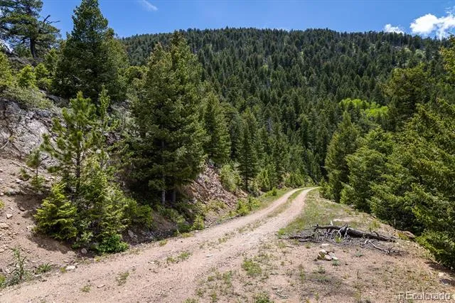 1259 Chute Road Golden, CO 80403