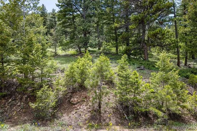 1259 Chute Road Golden, CO 80403