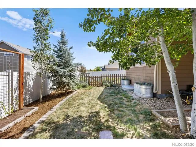 438 Ptarmigan Street Severance, CO 80550