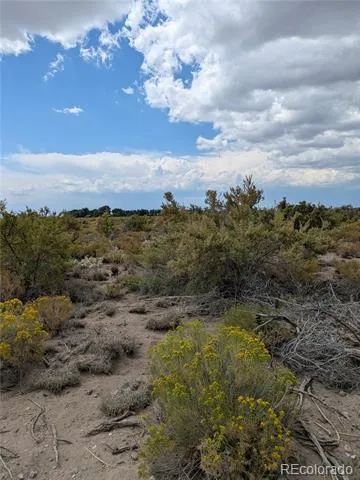 411 Camino Del Rey Crestone, CO 81131