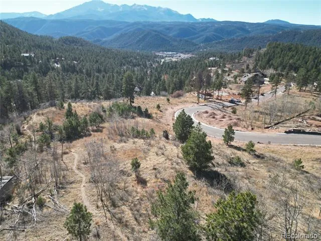 19 Blue Haven Place Woodland Park, CO 80863