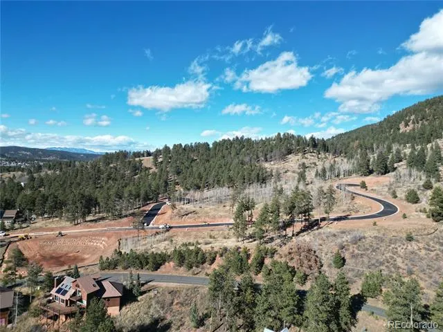 19 Blue Haven Place Woodland Park, CO 80863