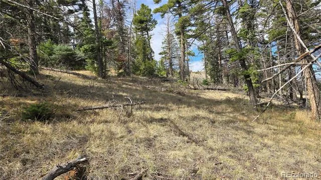 Lot 5505 Balleroy Road Fort Garland, CO 81133