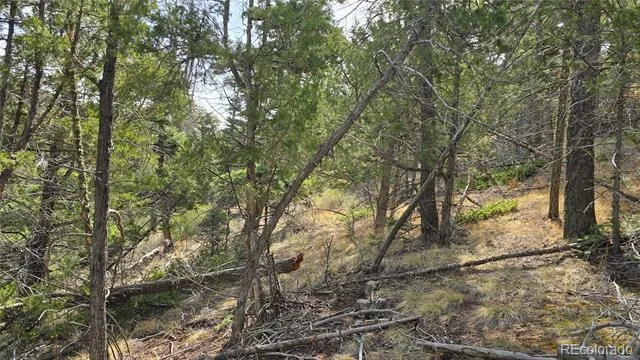Lot 5505 Balleroy Road Fort Garland, CO 81133