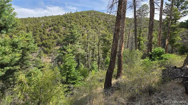 Lot 5505 Balleroy Road Fort Garland, CO 81133