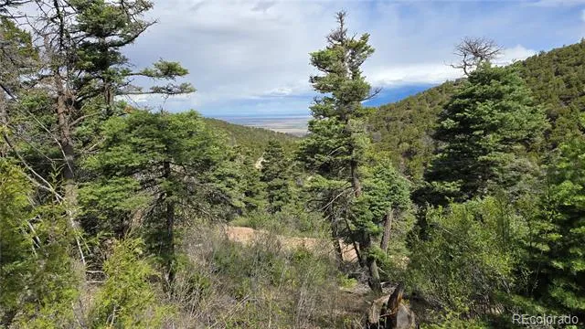 Lot 5505 Balleroy Road Fort Garland, CO 81133