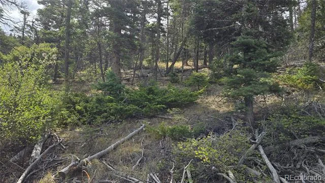 Lot 5505 Balleroy Road Fort Garland, CO 81133
