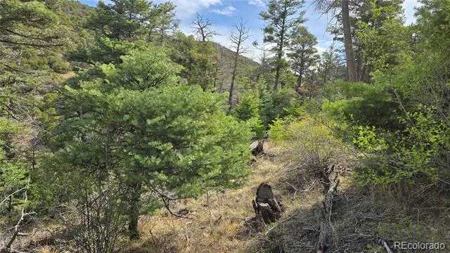 Lot 5505 Balleroy Road Fort Garland, CO 81133