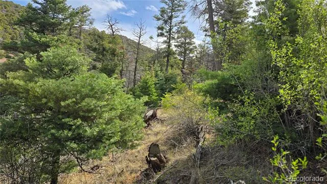 Lot 5505 Balleroy Road Fort Garland, CO 81133