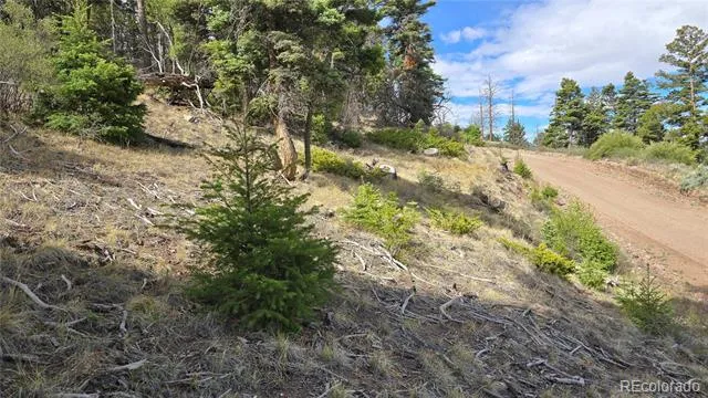 Lot 5505 Balleroy Road Fort Garland, CO 81133