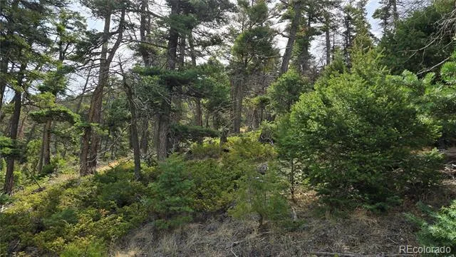 Lot 5505 Balleroy Road Fort Garland, CO 81133