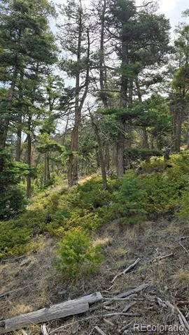 Lot 5505 Balleroy Road Fort Garland, CO 81133