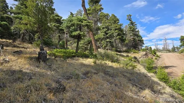 Lot 5505 Balleroy Road Fort Garland, CO 81133