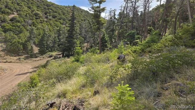 Lot 5505 Balleroy Road Fort Garland, CO 81133