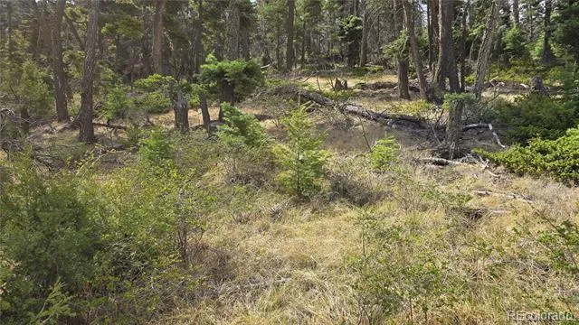 Lot 5505 Balleroy Road Fort Garland, CO 81133