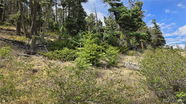Lot 5505 Balleroy Road Fort Garland, CO 81133