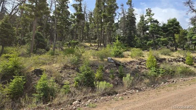 Lot 5505 Balleroy Road Fort Garland, CO 81133