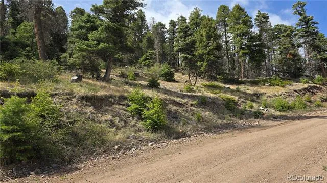 Lot 5505 Balleroy Road Fort Garland, CO 81133
