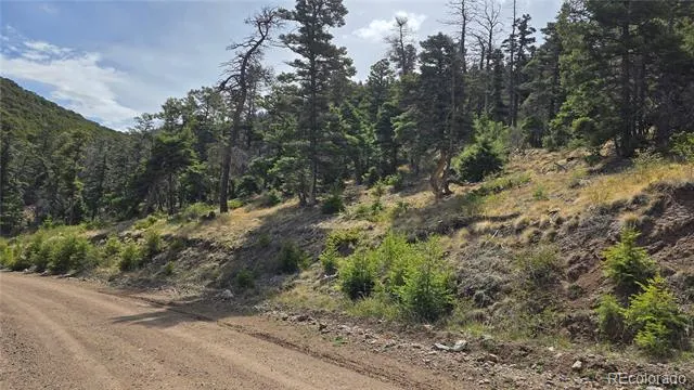 Lot 5505 Balleroy Road Fort Garland, CO 81133