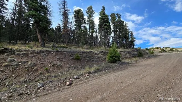 Lot 5505 Balleroy Road Fort Garland, CO 81133