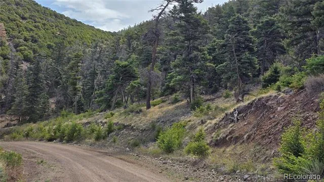 Lot 5505 Balleroy Road Fort Garland, CO 81133
