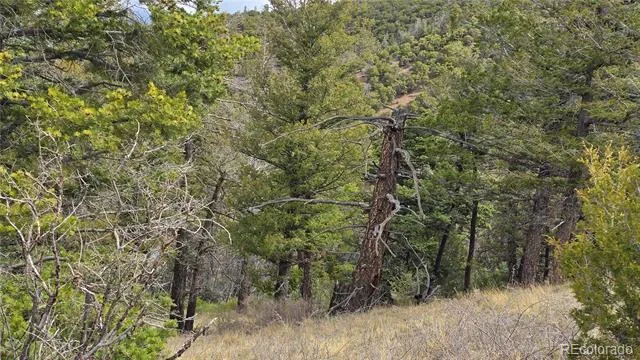 Lot 5505 Balleroy Road Fort Garland, CO 81133