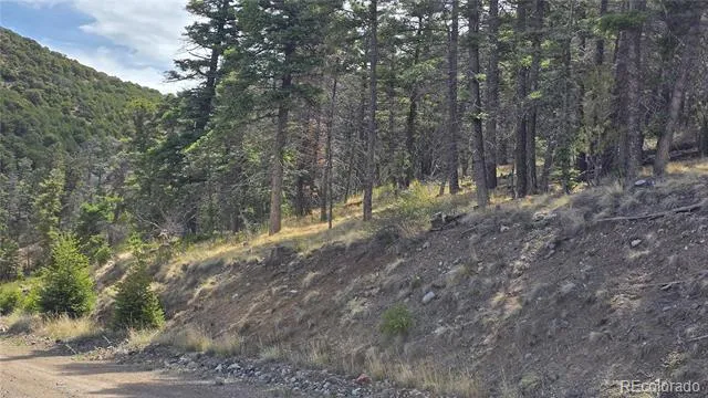 Lot 5505 Balleroy Road Fort Garland, CO 81133