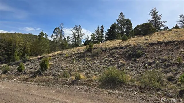 Lot 5505 Balleroy Road Fort Garland, CO 81133