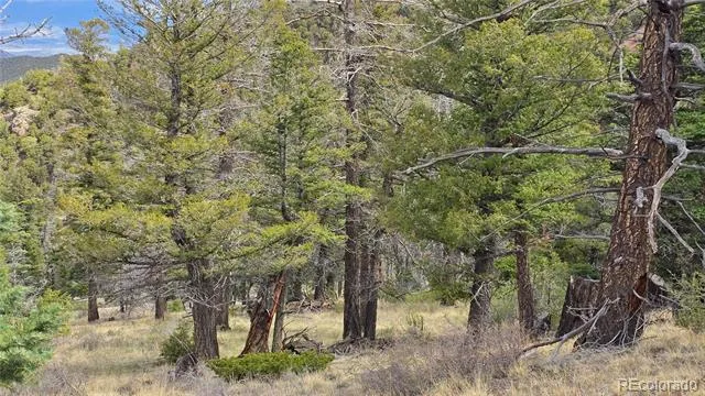 Lot 5505 Balleroy Road Fort Garland, CO 81133