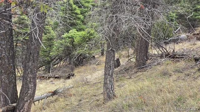 Lot 5505 Balleroy Road Fort Garland, CO 81133
