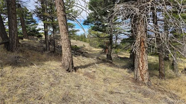 Lot 5505 Balleroy Road Fort Garland, CO 81133