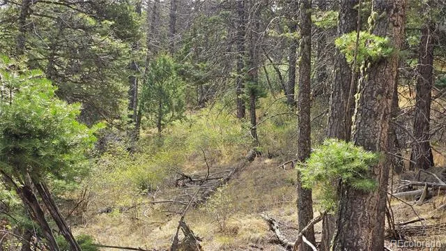 Lot 5505 Balleroy Road Fort Garland, CO 81133