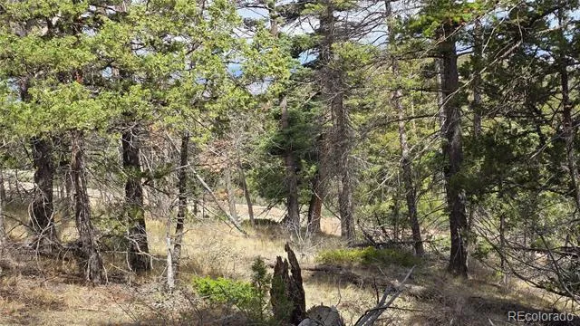 Lot 5505 Balleroy Road Fort Garland, CO 81133