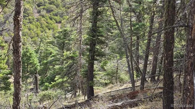 Lot 5505 Balleroy Road Fort Garland, CO 81133