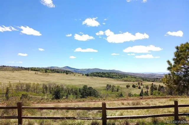 4653 Schierl Road Fort Garland, CO 81133