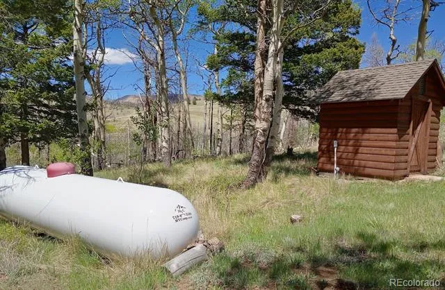 4653 Schierl Road Fort Garland, CO 81133