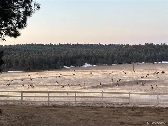 24030 County Road 43.6 Aguilar, CO 81020