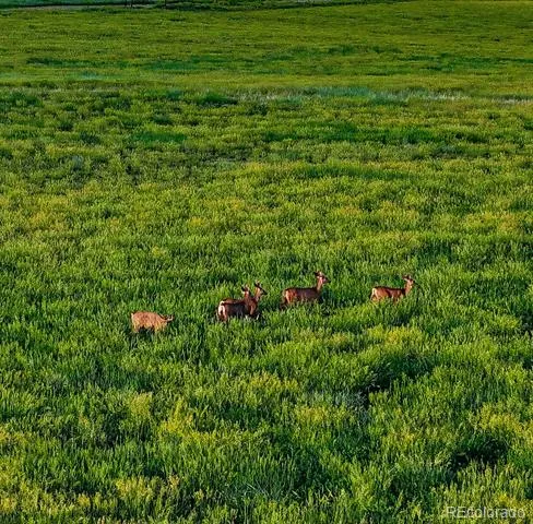 24030 County Road 43.6 Aguilar, CO 81020