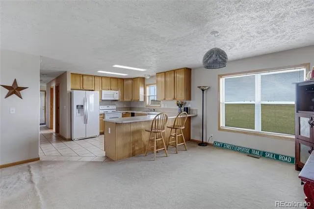33294 Expertise Trail Kiowa, CO 80117