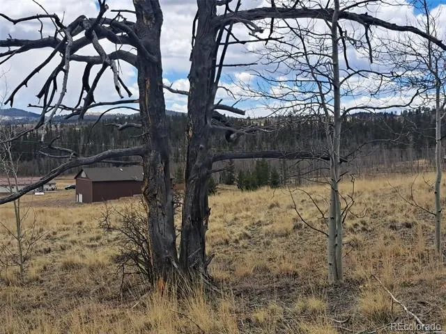 499 Kiowa Street Como, CO 80432
