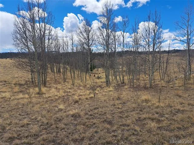 499 Kiowa Street Como, CO 80432