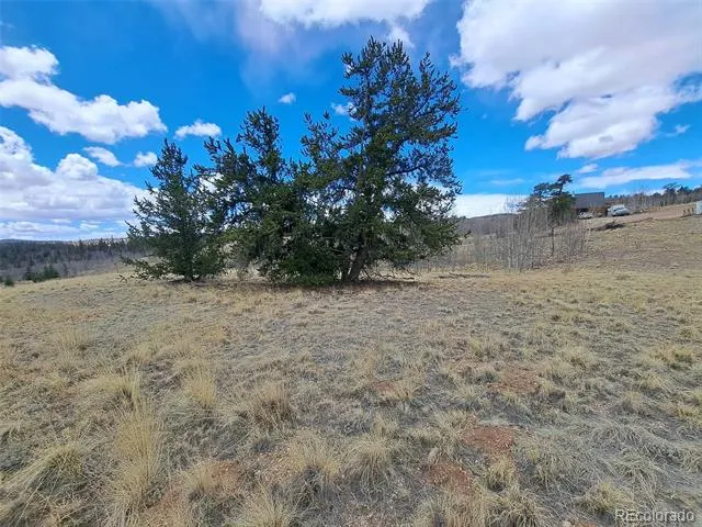 499 Kiowa Street Como, CO 80432