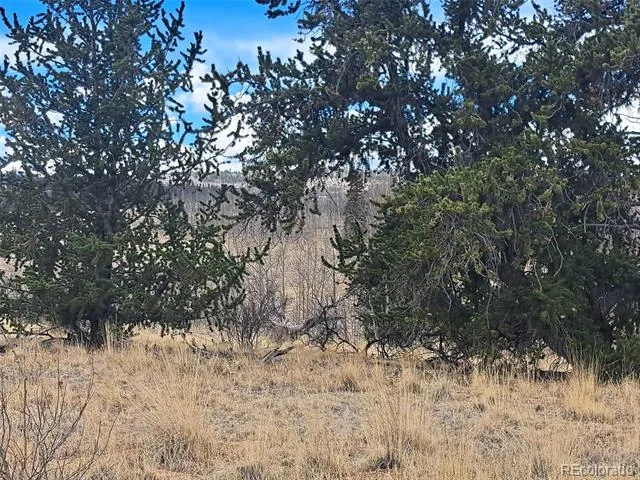 499 Kiowa Street Como, CO 80432