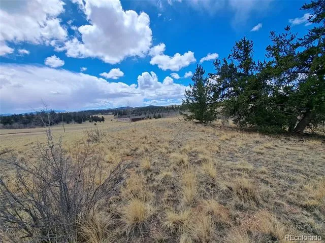 499 Kiowa Street Como, CO 80432